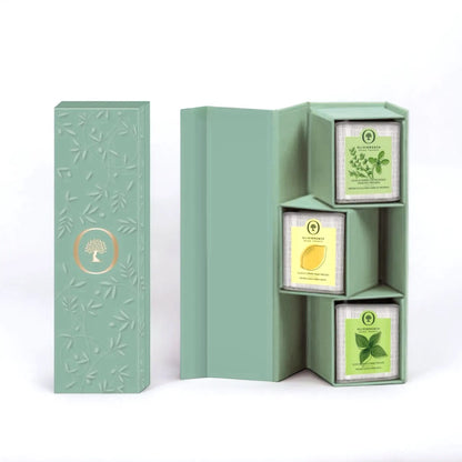 Olivenöl Geschenkbox – Stilvolles Geschenk für Mitarbeiter und Partner. Elegante, grüne Box mit fächerförmiger Öffnung, die drei aromatische Olivenöle enthält, ideal als exklusives Präsent für besondere Anlässe.